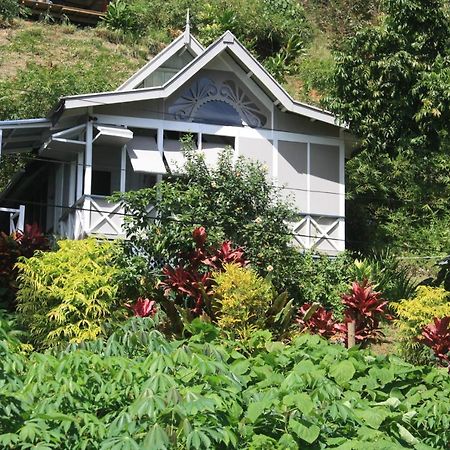 Gingerbread Cottage And Studio Fiji Savusavu Eksteriør bilde