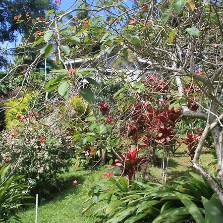 Gingerbread Cottage And Studio Fiji Savusavu Eksteriør bilde