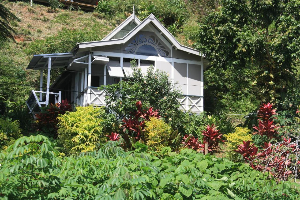 Gingerbread Cottage And Studio Fiji Savusavu Eksteriør bilde