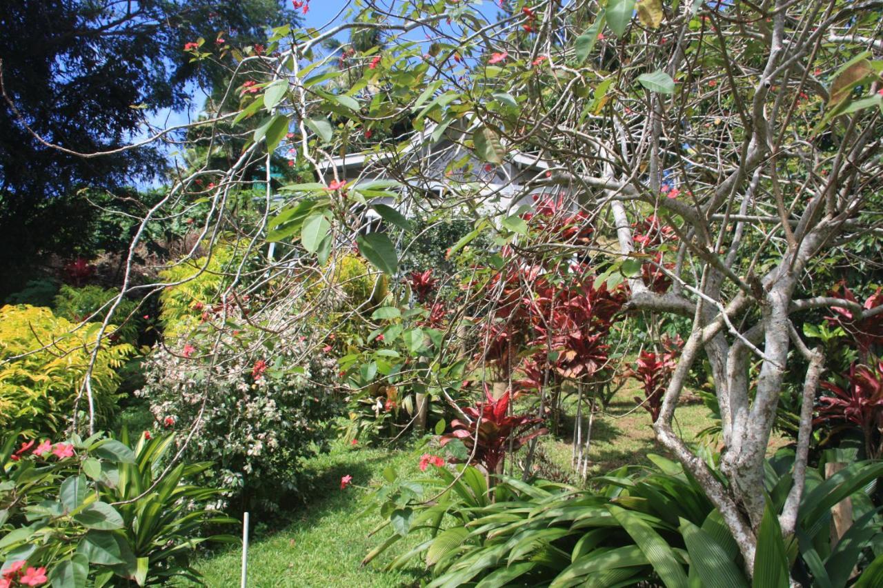 Gingerbread Cottage And Studio Fiji Savusavu Eksteriør bilde